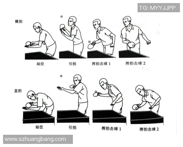 南京乒乓球队的训练节奏与比赛表现的深度分析与探讨