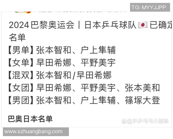 南京乒乓球队在奥运会上的灵活性表现与战术创新分析