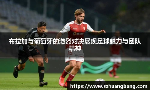 威廉希尔williamhill官方网站